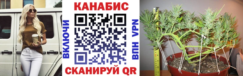 блэк спрут ТОР  цена наркотик  маркетплейс как зайти  Каннабис OG Kush  Алагир 